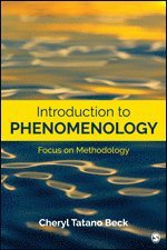 bokomslag Introduction to Phenomenology