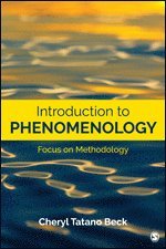 Introduction to Phenomenology 1