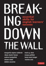 Breaking Down the Wall 1