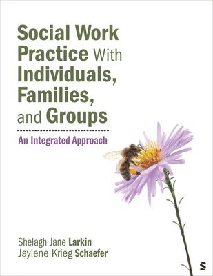 bokomslag Social Work Practice with Individuals, Families, and Groups: An Integrated Approach