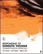 bokomslag Responding to Domestic Violence