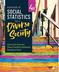 bokomslag Essentials of Social Statistics for a Diverse Society