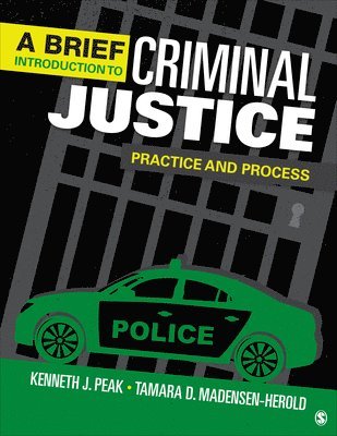 bokomslag A Brief Introduction to Criminal Justice: Practice and Process