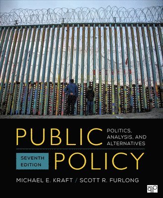 bokomslag Public Policy: Politics, Analysis, and Alternatives