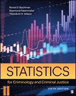 bokomslag Statistics for Criminology and Criminal Justice