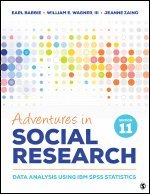 bokomslag Adventures in Social Research