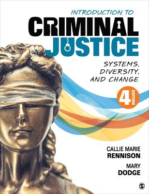 bokomslag Introduction to Criminal Justice: Systems, Diversity, and Change