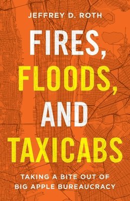 Jeffrey D Roth - Fires, Floods, and Taxicabs, Häftad