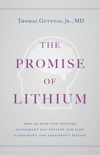 bokomslag The Promise of Lithium