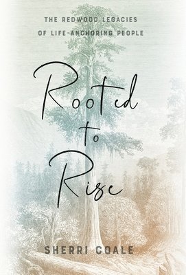 bokomslag Rooted to Rise