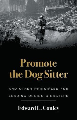 bokomslag Promote the Dog Sitter