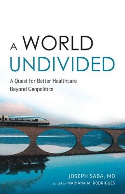 bokomslag World Undivided