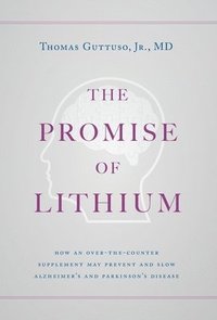 bokomslag The Promise of Lithium