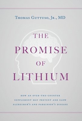 bokomslag The Promise of Lithium