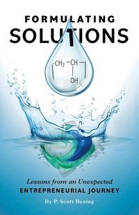 bokomslag Formulating Solutions