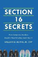 bokomslag Section 16 Secrets