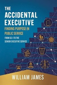 bokomslag Accidental Executive