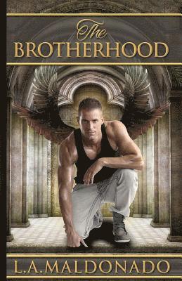 Todd Barselow - The Brotherhood, Häftad