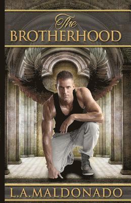 The Brotherhood 1