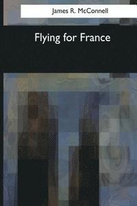 bokomslag Flying for France