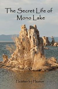 bokomslag The Secret Life of Mono Lake