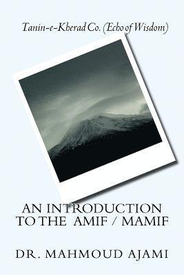 bokomslag An Introduction to the AMIF / MAMIF: Management Model Based on Learning Theories and Models