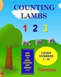 bokomslag Counting Lambs 1 2 3