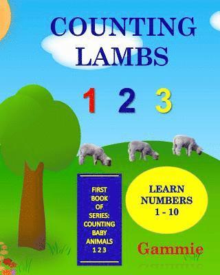 Counting Lambs 1 2 3 1