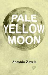 bokomslag Pale Yellow Moon