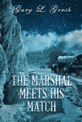 bokomslag The Marshal Meets His Match: Twin Forks Series