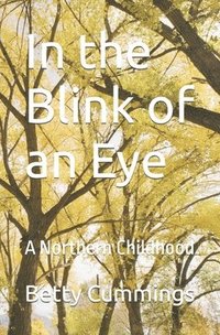 bokomslag In the Blink of an Eye: A Northern Childhood