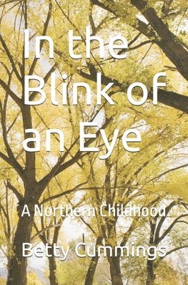 In the Blink of an Eye: A Northern Childhood 1