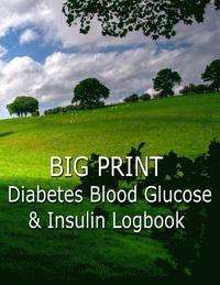 bokomslag Big Print Diabetes Blood Sugar and Insulin Log