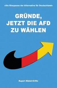 bokomslag Gründe, jetzt die AfD zu wählen: Entscheidungshilfe für deutsche Wähler