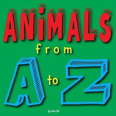 bokomslag Animals from A-Z