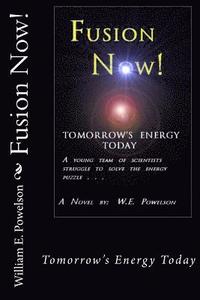 bokomslag Fusion Now: Tomorrow's Energy Today