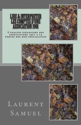 bokomslag Lire & interpreter les comptes d'une association 1901: L'analyse financiere des associations 1901 a la portee des non-specialistes