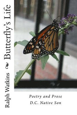 bokomslag A Butterfly's Life: Poetry & Prose