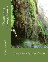 bokomslag History of Chautauqua Springs, Kansas