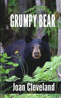 Grumpy Bear 1