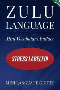 bokomslag Zulu Language Mini Vocabulary Builder: Stress Labeled!