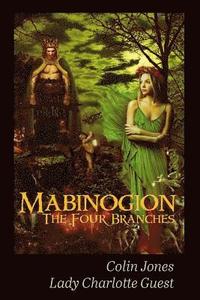 bokomslag Mabinogion, the Four Branches: The Ancient Celtic Epic