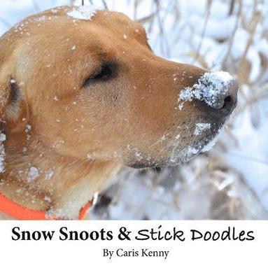 bokomslag Snow Snoots & Stick Doodles