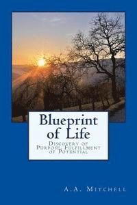 bokomslag Blueprint of Life: Discovery of Purpose, Fulfillment of Potential