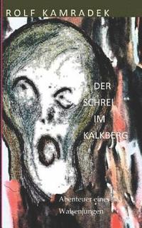 bokomslag Der Schrei im Kalkberg: Abenteuer eines Waisenjungen