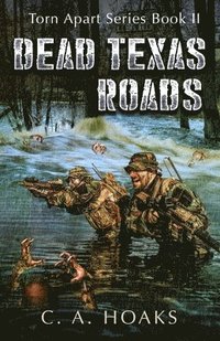 bokomslag Dead Texas Roads