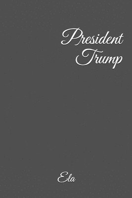bokomslag President Trump (first 100 days)
