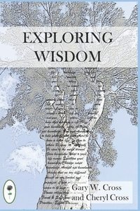 bokomslag Exploring Wisdom