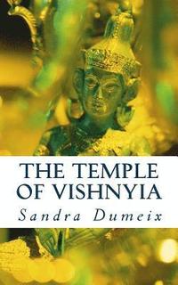 bokomslag The temple of Vishnyia