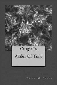 bokomslag Caught In Amber Of Time